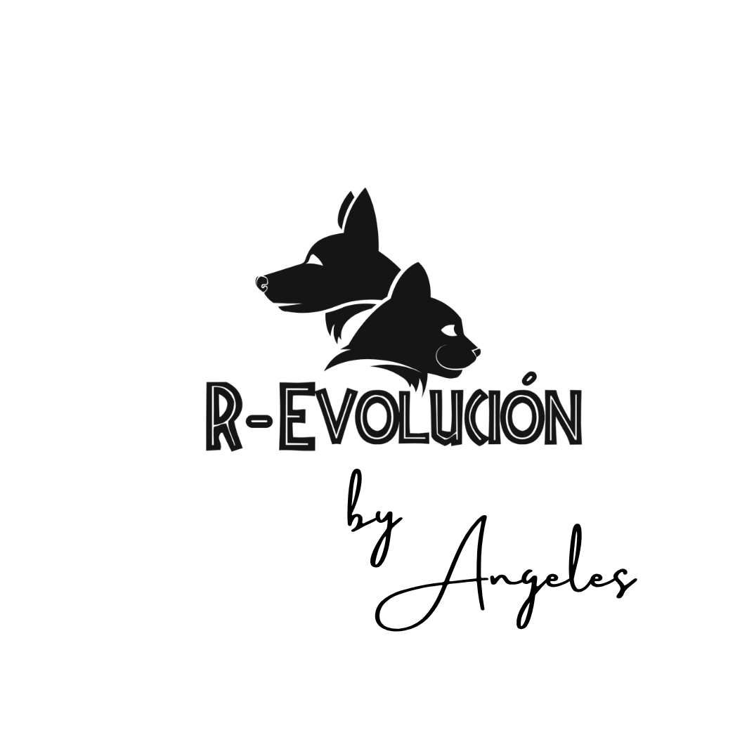 Logo R-Evolución